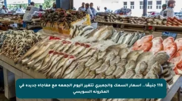 118 جنيهًا.. أسعار السمك والجمبري تتغير اليوم الجمعة مع مفاجأة جديدة في المكرونة السويسي